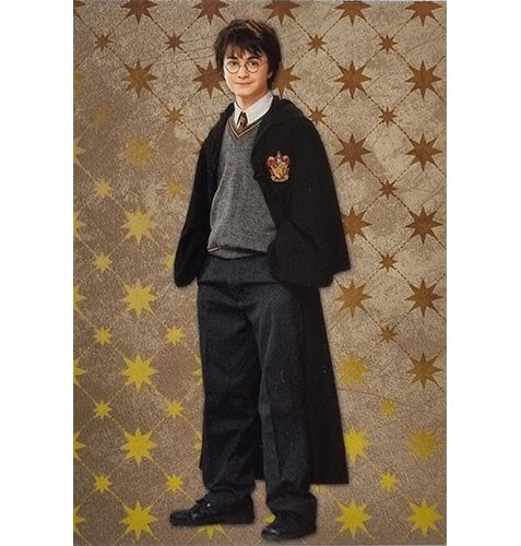 Panini Harry Potter Evolution Trading Cards Nr 011 Harry Potter