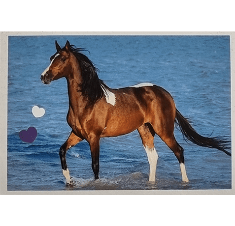 Horse Club Lieblingspferde Sticker - Nr 110