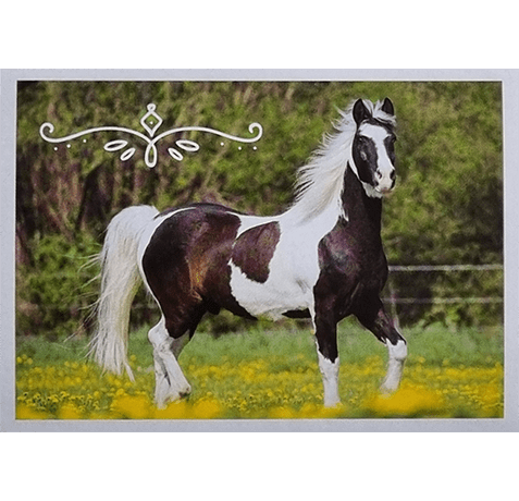 Horse Club Lieblingspferde Sticker - Nr 111