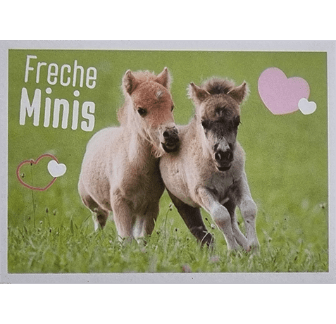 Horse Club Lieblingspferde Sticker - Nr 143