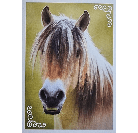 Horse Club Lieblingspferde Sticker - Nr 153