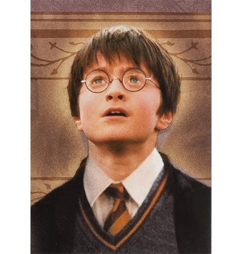 Panini Harry Potter Evolution Trading Cards Nr 002 Friends for life