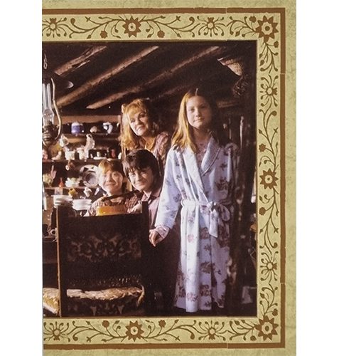 Panini Harry Potter Evolution Trading Cards Nr 227 The Weasleys