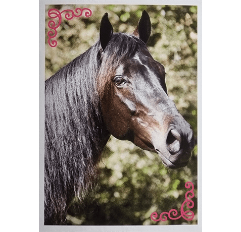 Horse Club Lieblingspferde Sticker - Nr 023