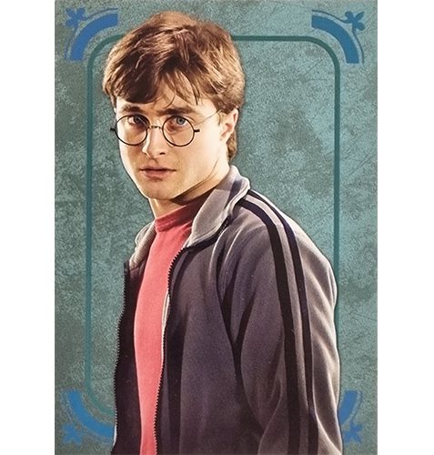 Panini Harry Potter Evolution Trading Cards Nr 024 Harry Potter