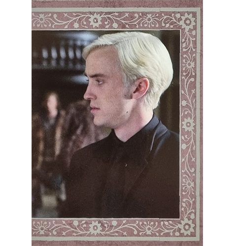 Panini Harry Potter Evolution Trading Cards Nr 243 The Malfoys