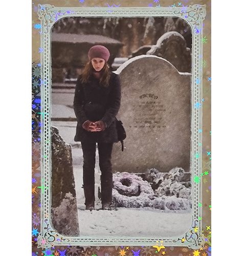 Panini Harry Potter Evolution Trading Cards Nr 291 Magical Place