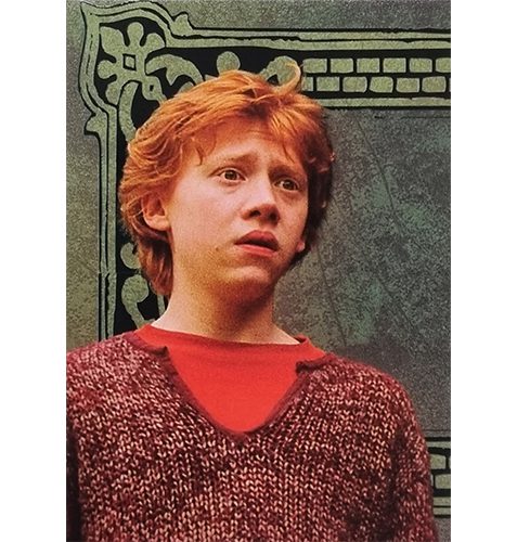 Panini Harry Potter Evolution Trading Cards Nr 004 Friends for life