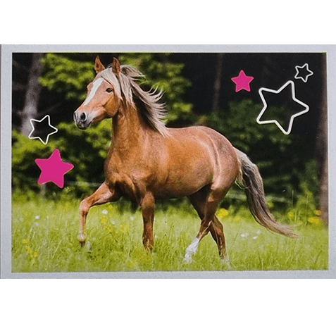 Horse Club Lieblingspferde Sticker - Nr 051