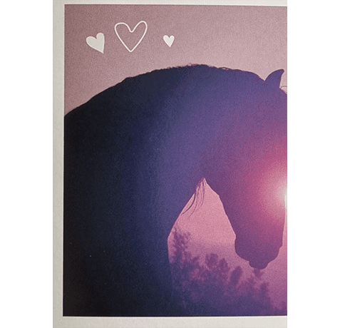 Horse Club Lieblingspferde Sticker - Nr 058