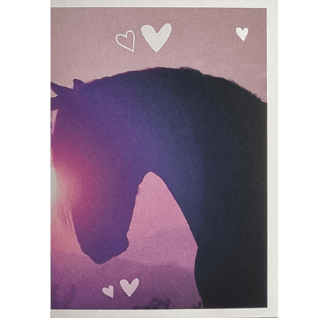 Horse Club Lieblingspferde Sticker - Nr 059
