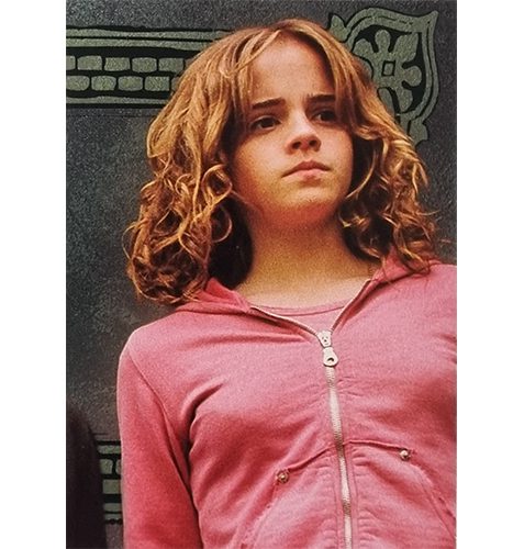 Panini Harry Potter Evolution Trading Cards Nr 006 Friends for life