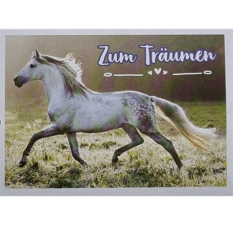 Horse Club Lieblingspferde Sticker - Nr 061