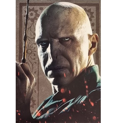 Panini Harry Potter Evolution Trading Cards Nr 063 Lord Voldemort