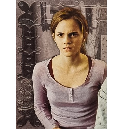 Panini Harry Potter Evolution Trading Cards Nr 007 Friends for life