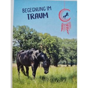 Blue Ocean Ostwind Das große Finale Sticker Nummer 076