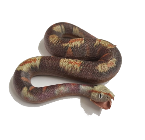 Blue Ocean Snakes Planet Wow Sammelfiguren 2024 / 1 Östliche Gabunviper