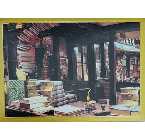 Panini Harry Potter Anthology Sticker Nr 010