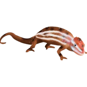 Blue Ocean Chamäleons Planet Wow - 1x Juwelen-chamäleon einfacher Farbwechsel