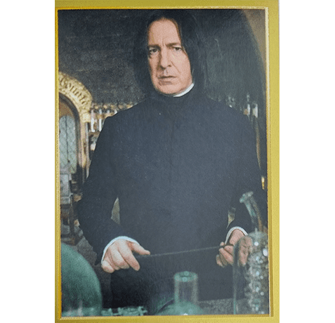 Panini Harry Potter Anthology Sticker Nr 106