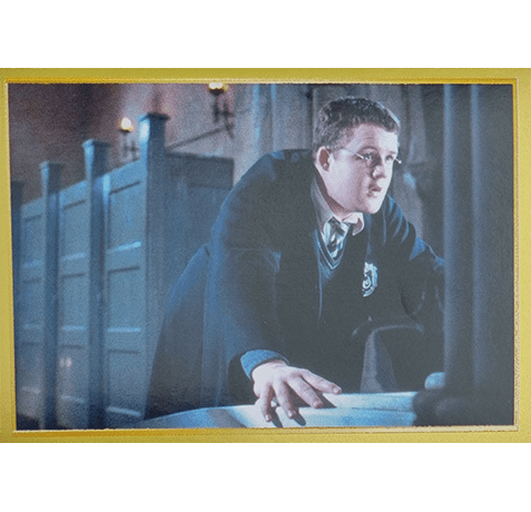 Panini Harry Potter Anthology Sticker Nr 110