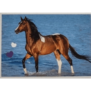 Horse Club Lieblingspferde Sticker - Nr 110