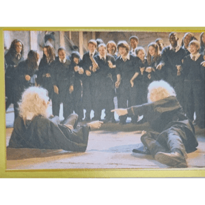 Panini Harry Potter Anthology Sticker Nr 117