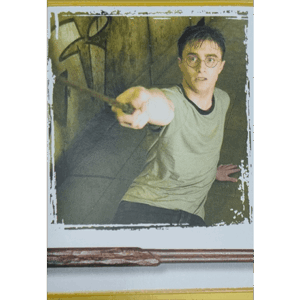 Panini Harry Potter Anthology Sticker Nr 120