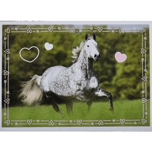 Horse Club Lieblingspferde Sticker - Nr 120