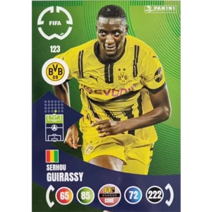 Panini FIFA Club WM Trading Cards 2025