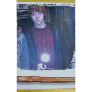 Panini Harry Potter Anthology Sticker Nr 123