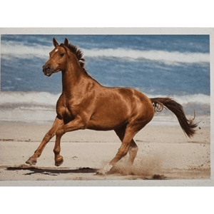 Horse Club Lieblingspferde Sticker - Nr 124