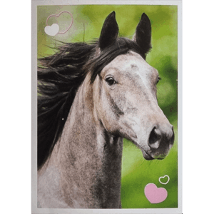 Horse Club Lieblingspferde Sticker - Nr 126