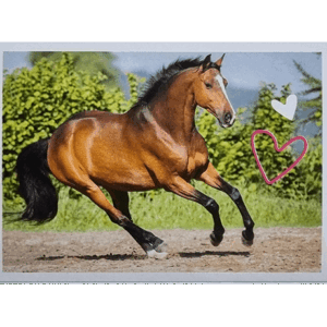 Horse Club Lieblingspferde Sticker - Nr 127