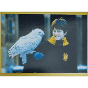 Panini Harry Potter Anthology Sticker Nr 013