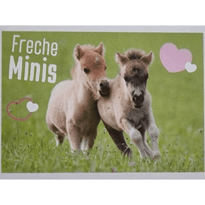Horse Club Lieblingspferde Sticker - Nr 143