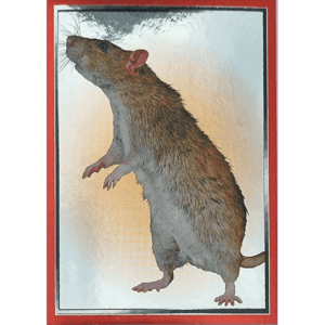 Panini Harry Potter Anthology Sticker Nr 015