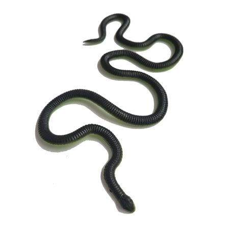 Blue Ocean Snakes Planet Wow Sammelfiguren 2024 / 15 Boomslang