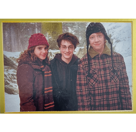 Panini Harry Potter Anthology Sticker Nr 180