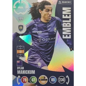 Panini FIFA Club WM Trading Cards 2025