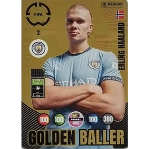 Panini FIFA Club WM Trading Cards 2025