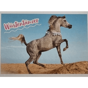 Horse Club Lieblingspferde Sticker - Nr 021