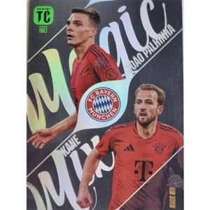Panini Top Class Adrenalyn XL 2025 / 220 JOAO PALHINHA