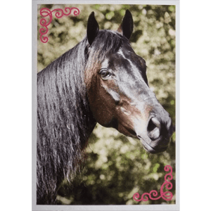 Horse Club Lieblingspferde Sticker - Nr 023