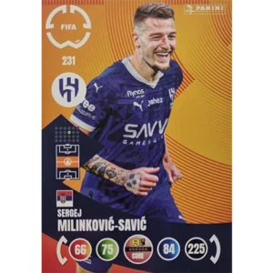 Panini FIFA Club WM Trading Cards 2025