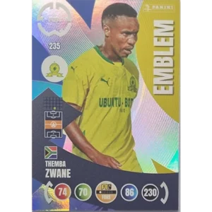 Panini FIFA Club WM Trading Cards 2025