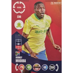 Panini FIFA Club WM Trading Cards 2025