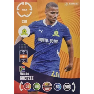 Panini FIFA Club WM Trading Cards 2025