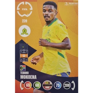 Panini FIFA Club WM Trading Cards 2025