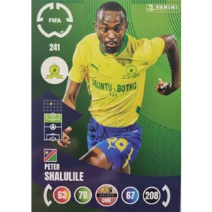Panini FIFA Club WM Trading Cards 2025
